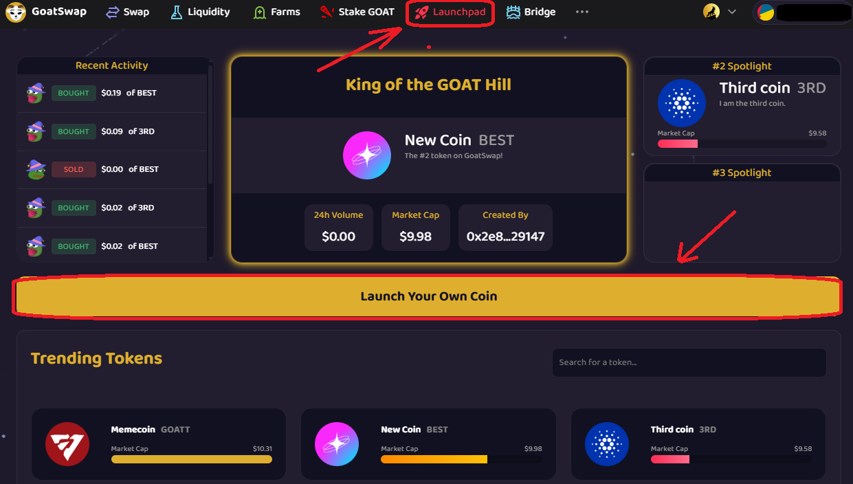 Launch your own coin screen